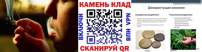 omg зеркало  Уварово  Гашиш индика сатива 