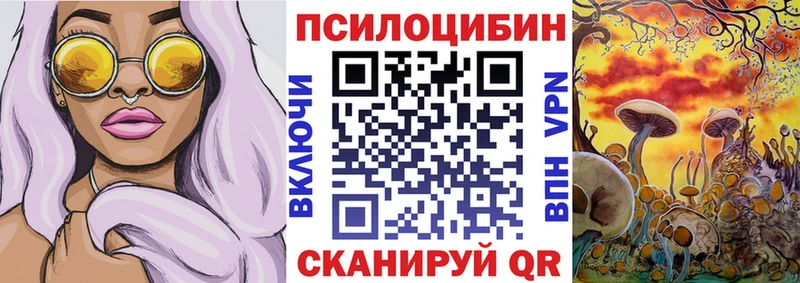 закладки  Уварово  Галлюциногенные грибы Psilocybine cubensis 